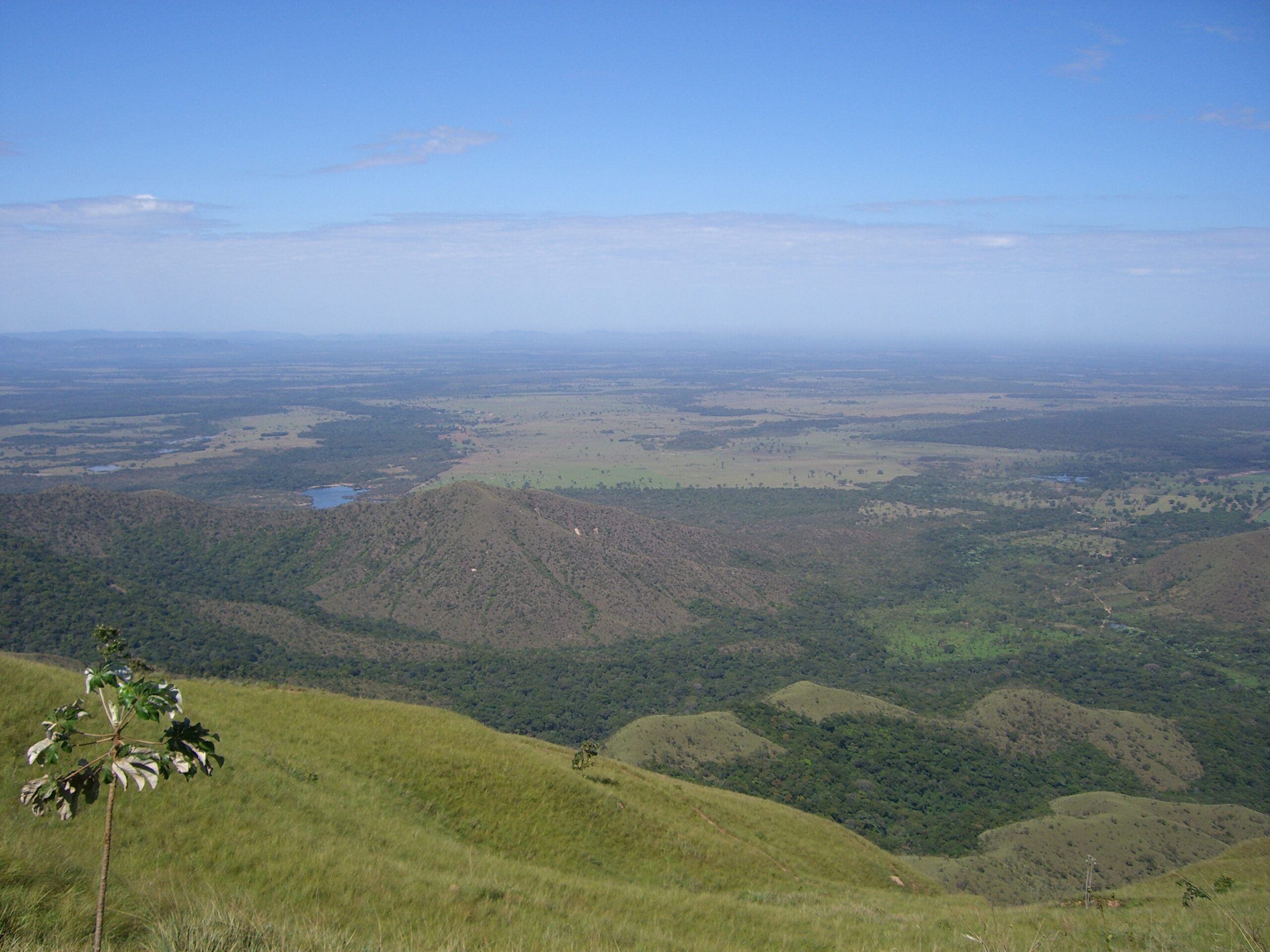 Uitzicht over uitgestrekte savannes in Brazilië