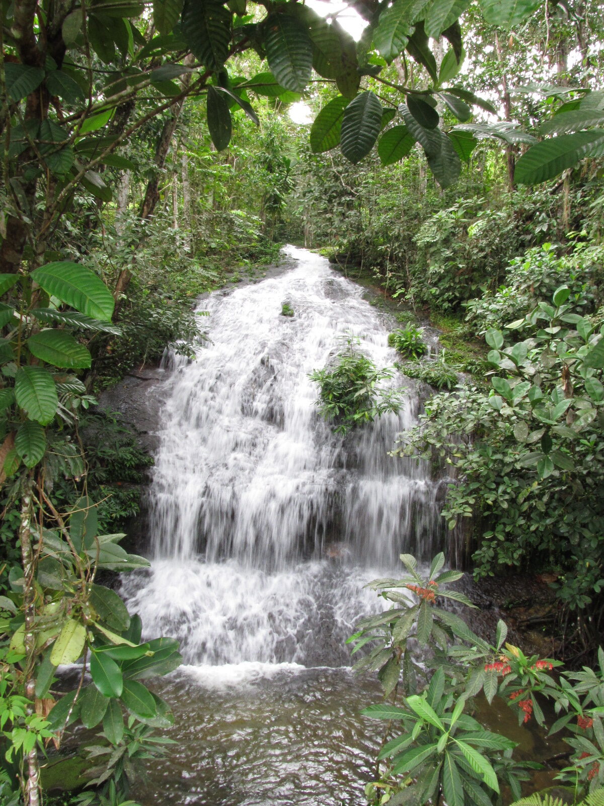 Waterval in de Andes in Zuid-Colombia
