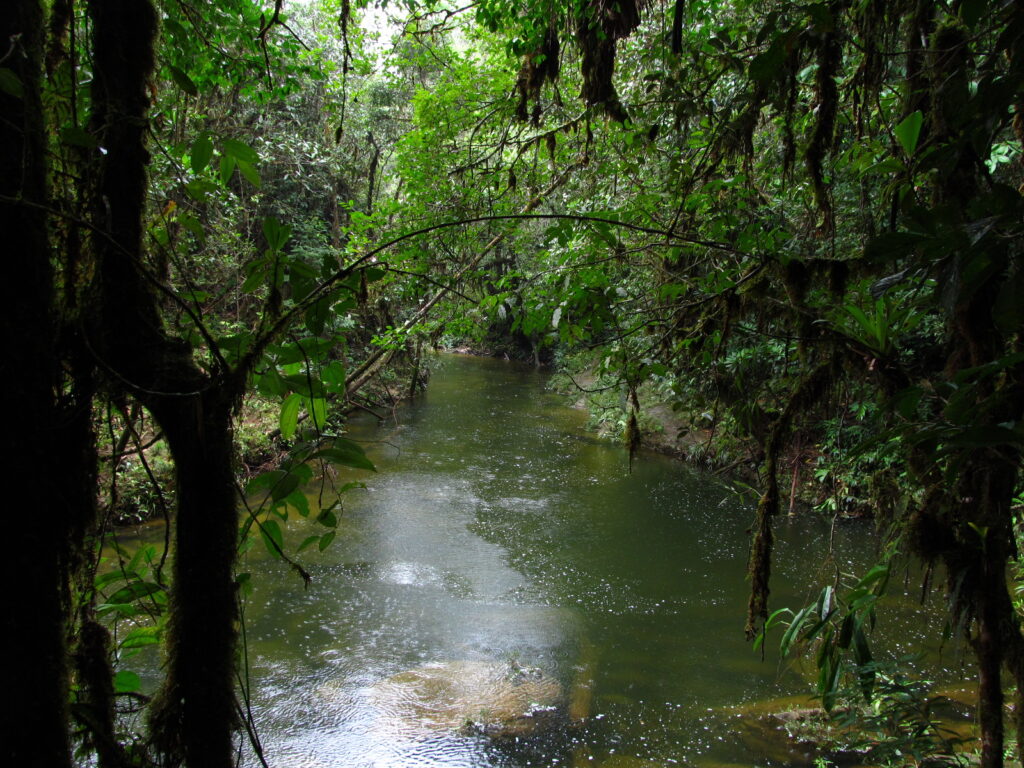 Rivier in jungle van Zuid-Colombia