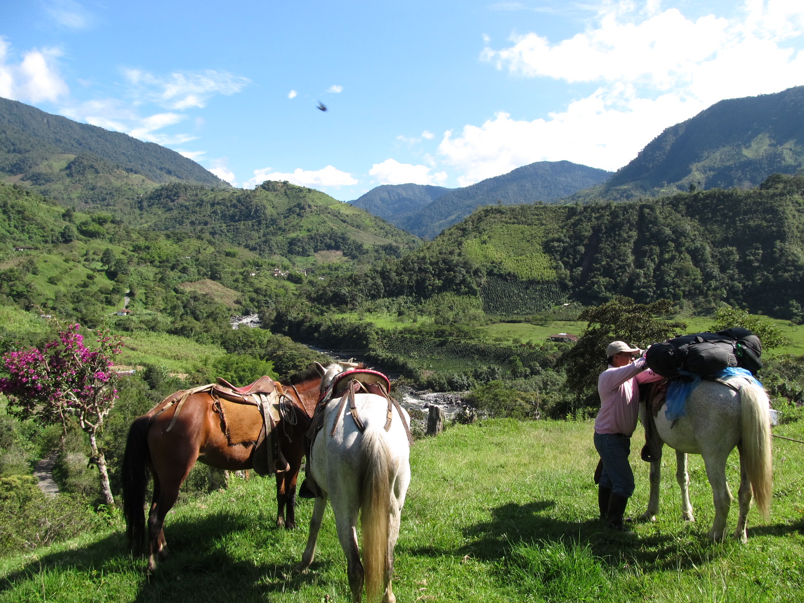 Te paard over de Andes in Zuid-Colombia
