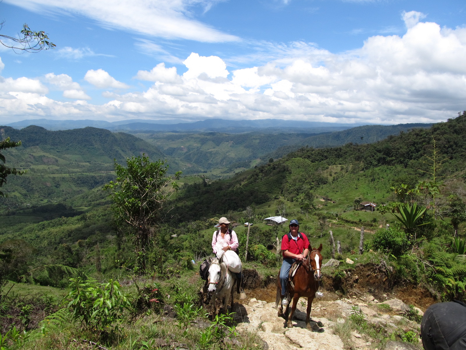Te paard over de Andes in Zuid-Colombia