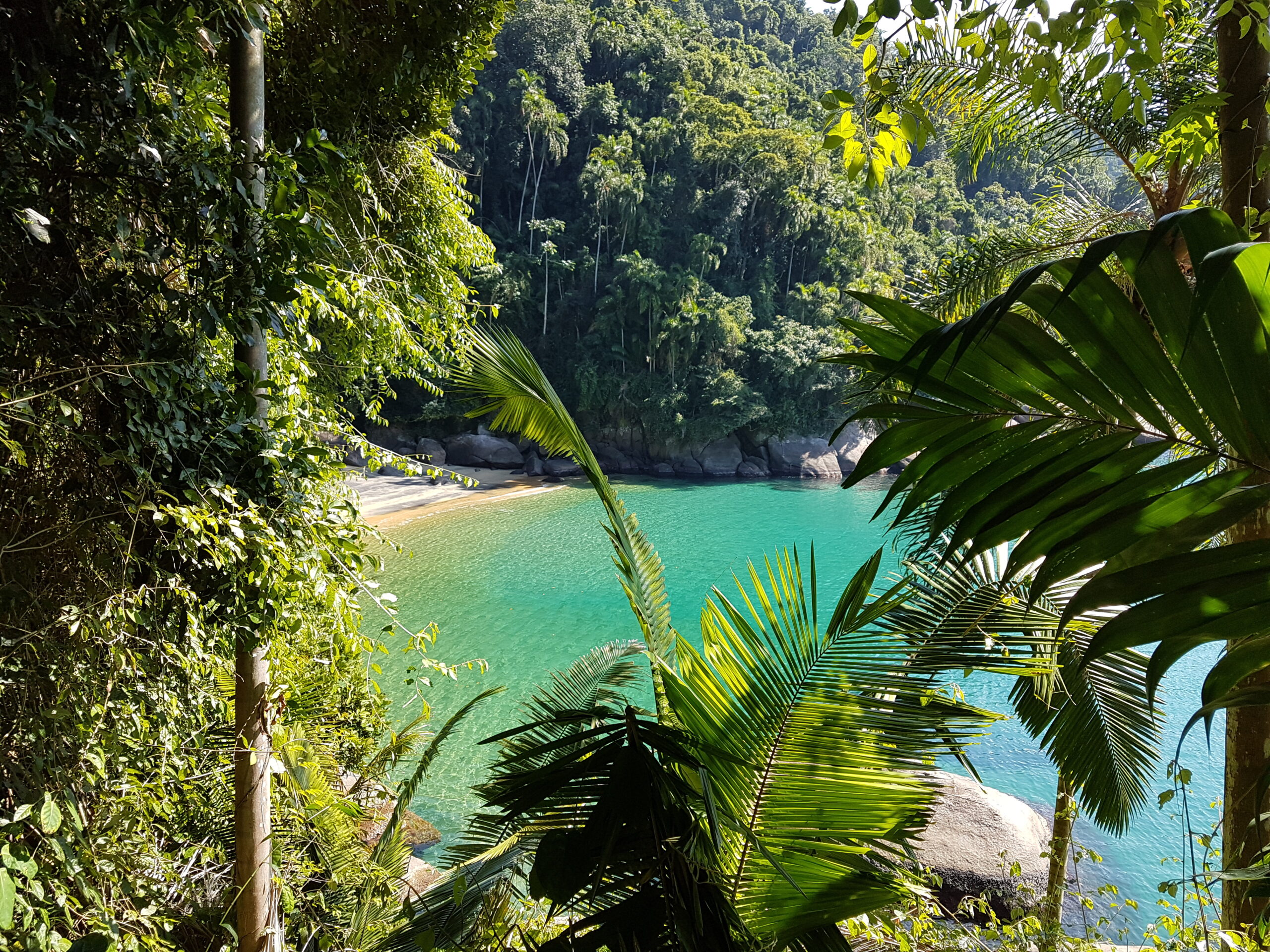 Tropisch strand in Brazilië bij Paraty